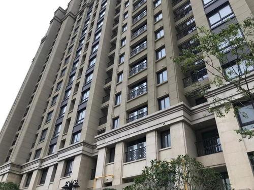 都市花园爆料最新消息,揭秘神秘事件背后的真相