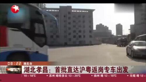 孝昌最新爆料消息视频,视频揭露惊人真相，引人深思